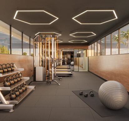 EDF.GRAN PRIME - ACADEMIA